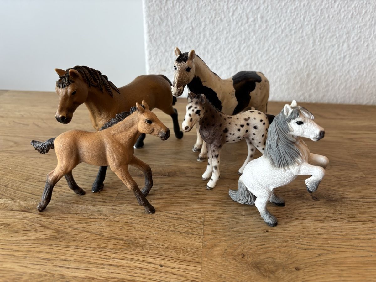 Schleich Giocattoli: Schleich Pferde 5er Set – Usato da Noflen BE venduto da ManuelaMiro