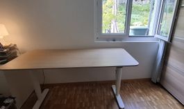 Stehschreibtisch. Elektrisch höhenverstellbar. Holz Optik. 