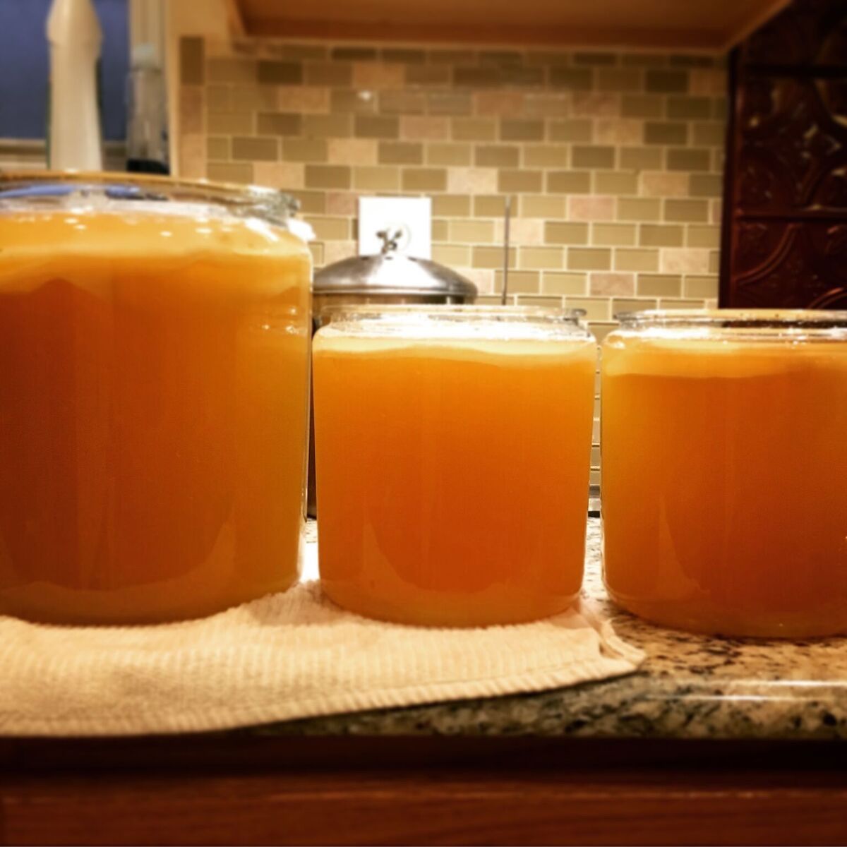 Cibi & Specialità: BIO Kombucha Fermentation Teepilz Scoby Lebensmittel – Usato da Holzhäusern ZG venduto da paula_w