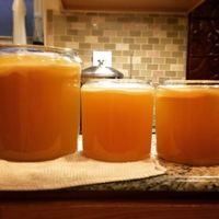 BIO Kombucha Fermentation Teepilz Scoby Lebensmittel