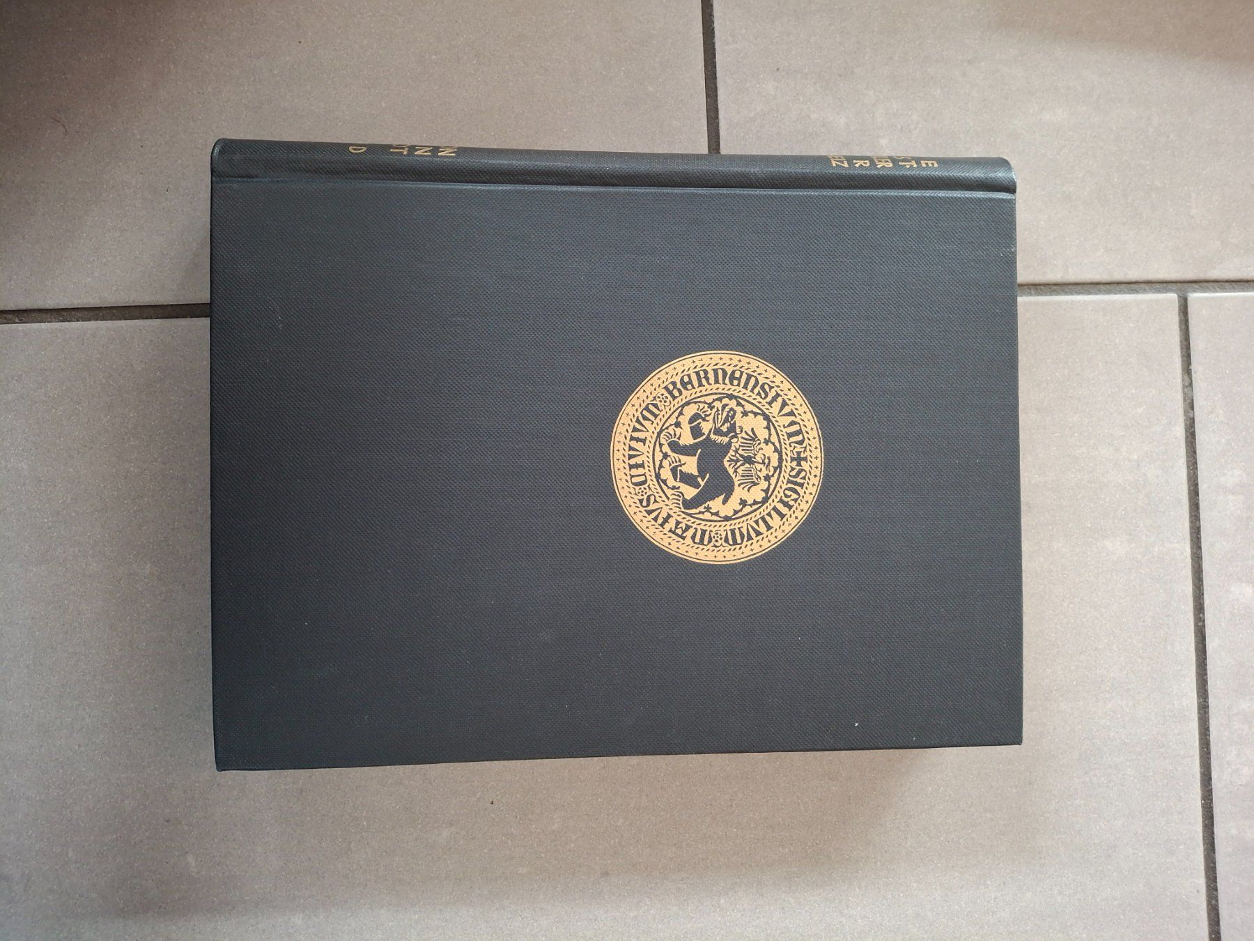 Libri: Kunstdenkmäler Kanton Bern 1, Bern Stadt – Usato da Oberbuchsiten venduto da nat_gqs7