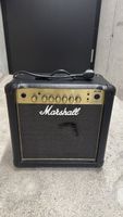 Gitarrenverstärker 