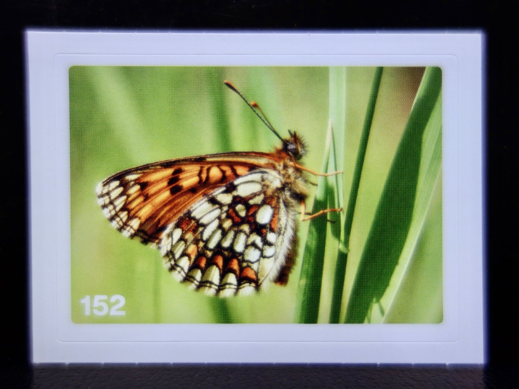 Migros Cartes à collectionner: MIGROS MANIA Nature Detectives Nr. 152 – Neuf avec emballage d'origine à Kerzers par djstarsky73