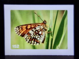MIGROS MANIA Nature Detectives Nr. 152