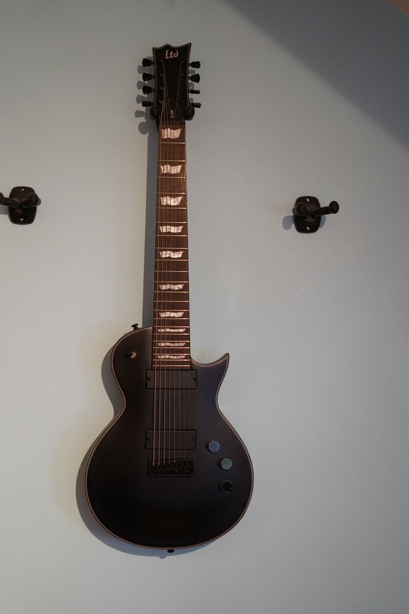 Esp Strumenti musicali: LTD EC-258 E-Gitarre – Nuovo (secondo la descrizione) da Grenchen venduto da ale_yv26