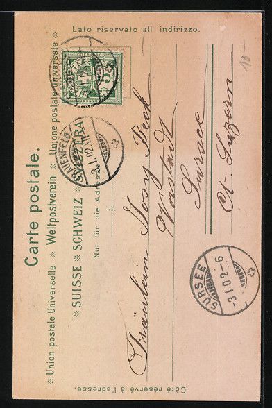 Cartoline postali: Junge Dame in Appenzeller Tracht vor ein – Usato da Berlin venduto da bartko-reher 1