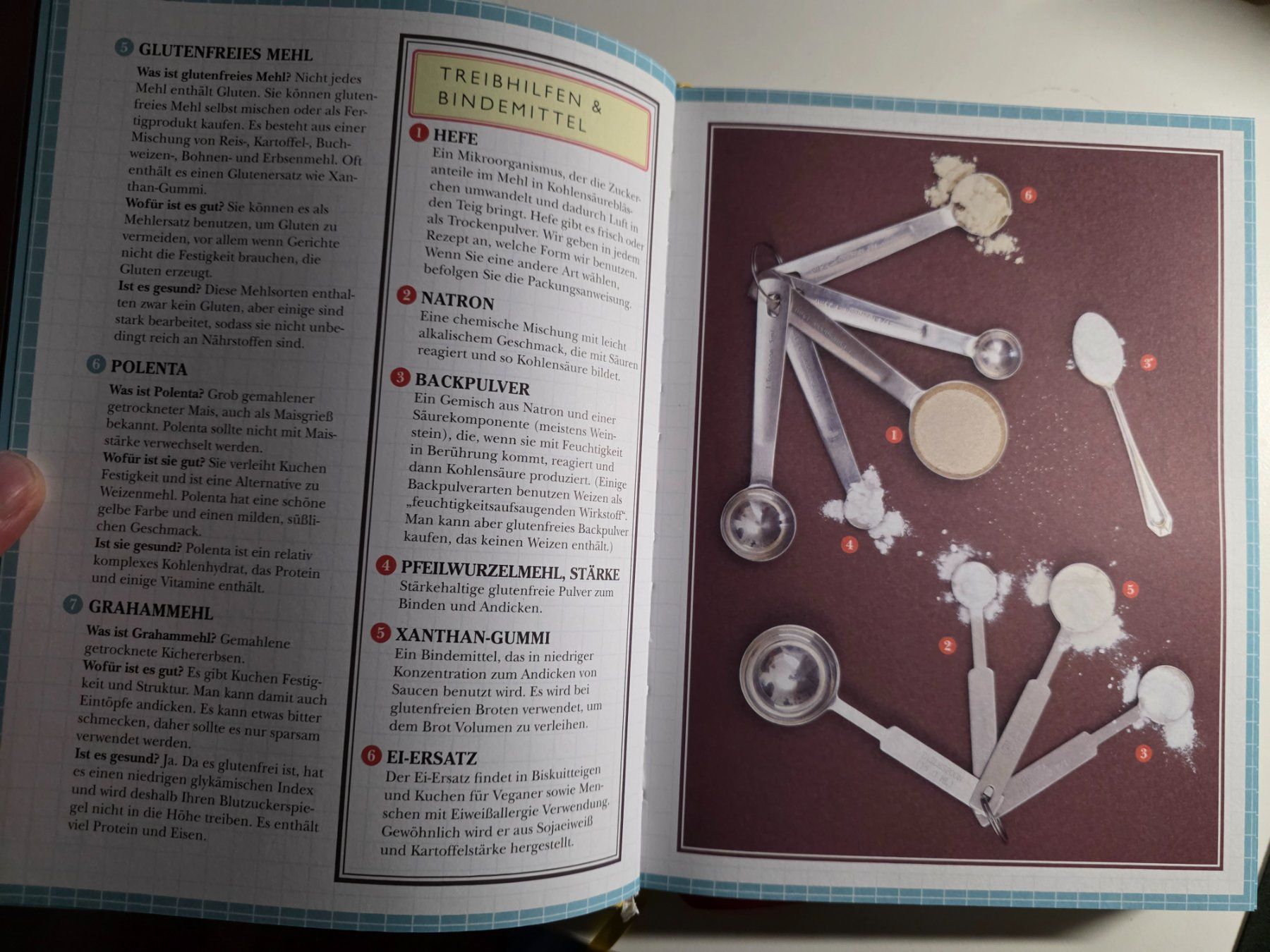 Libri: Leon - Backen Herzhaft Süss - Kochbuch - 2012 – Usato da Walterswil BE venduto da Lonitti 7
