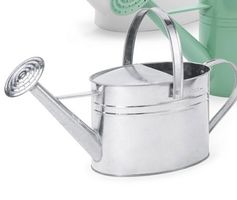 GIESSKANNE METALL 5 LITER – VERZINKT / Neu / Top Produkt !