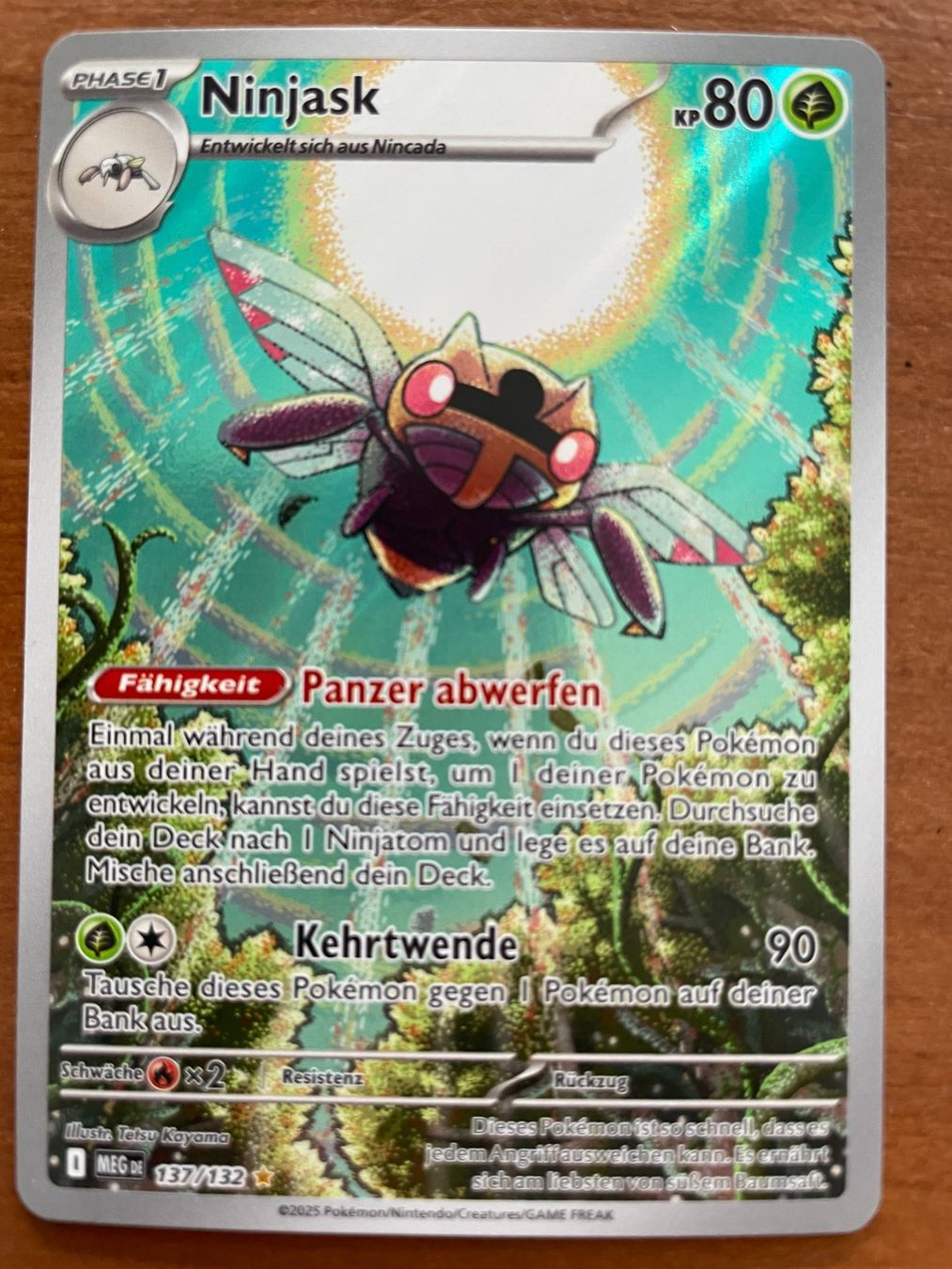 Pokémon Carte collezionabili: Pokemon Ninjask (Versand gratis) – Nuovo (secondo la descrizione) da Chur venduto da Angerson