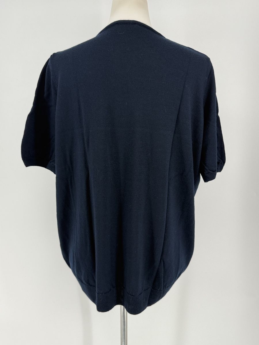 Peter Hahn Maglioni & Felpe: Kurzarm Woll Pullover von Peter Hahn Gr. 50/52 – Usato da Auenstein venduto da moin. 3