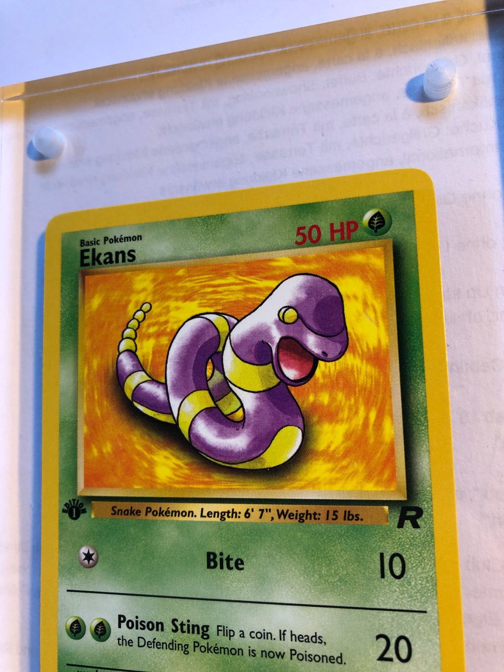 Cartes à collectionner: Ekans 1st Team Rocket - MINT - ab 1.- – D'occasion à Giubiasco par dan_pr8b 3
