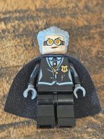 lego figurine harry potter hp106 Madam Rolanda Hooch -