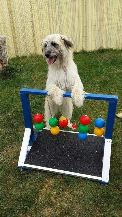 Große Aufbewahrungsbox Für Hundespielzeug | Grau, 38,1 X 27,9 X 17,8 Cm | Aus Strapazierfähigem Filz, Zusammenklappbar Mit Holzgriffen