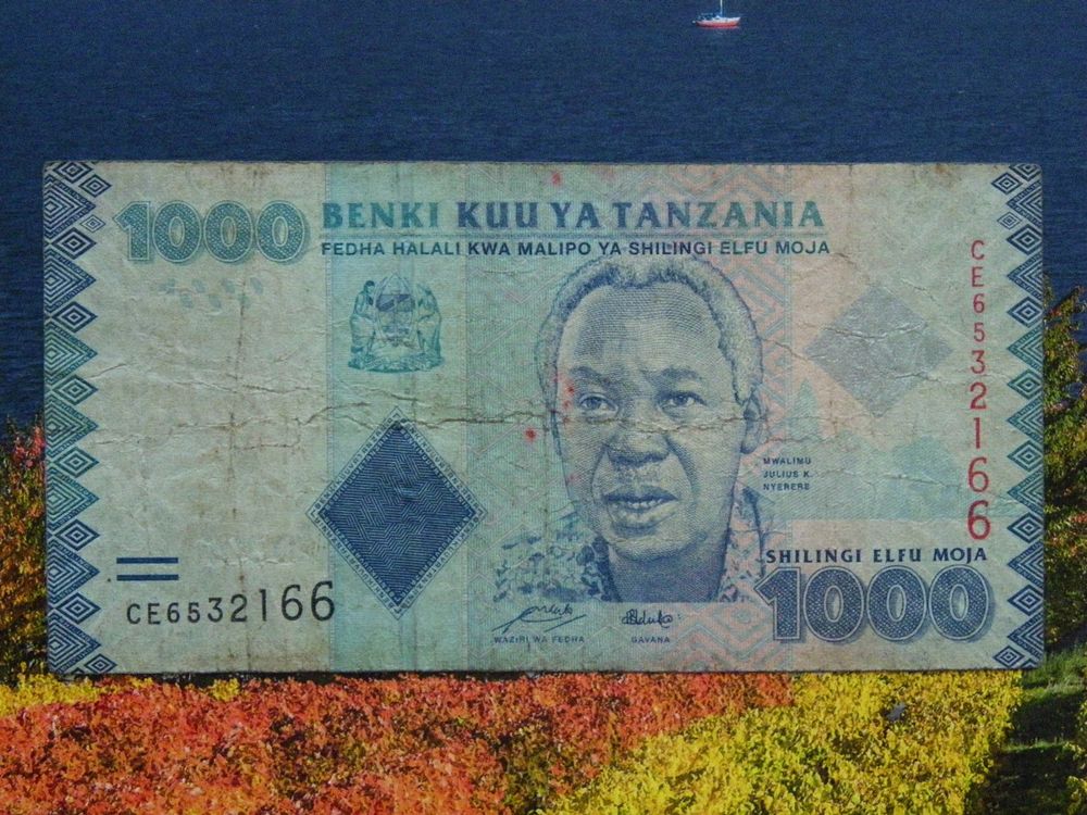 Tanzania 1000 Shilingi | Kaufen auf Ricardo