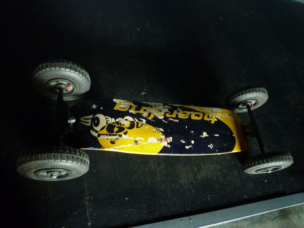 DirtSkateboard Kaufen auf Ricardo