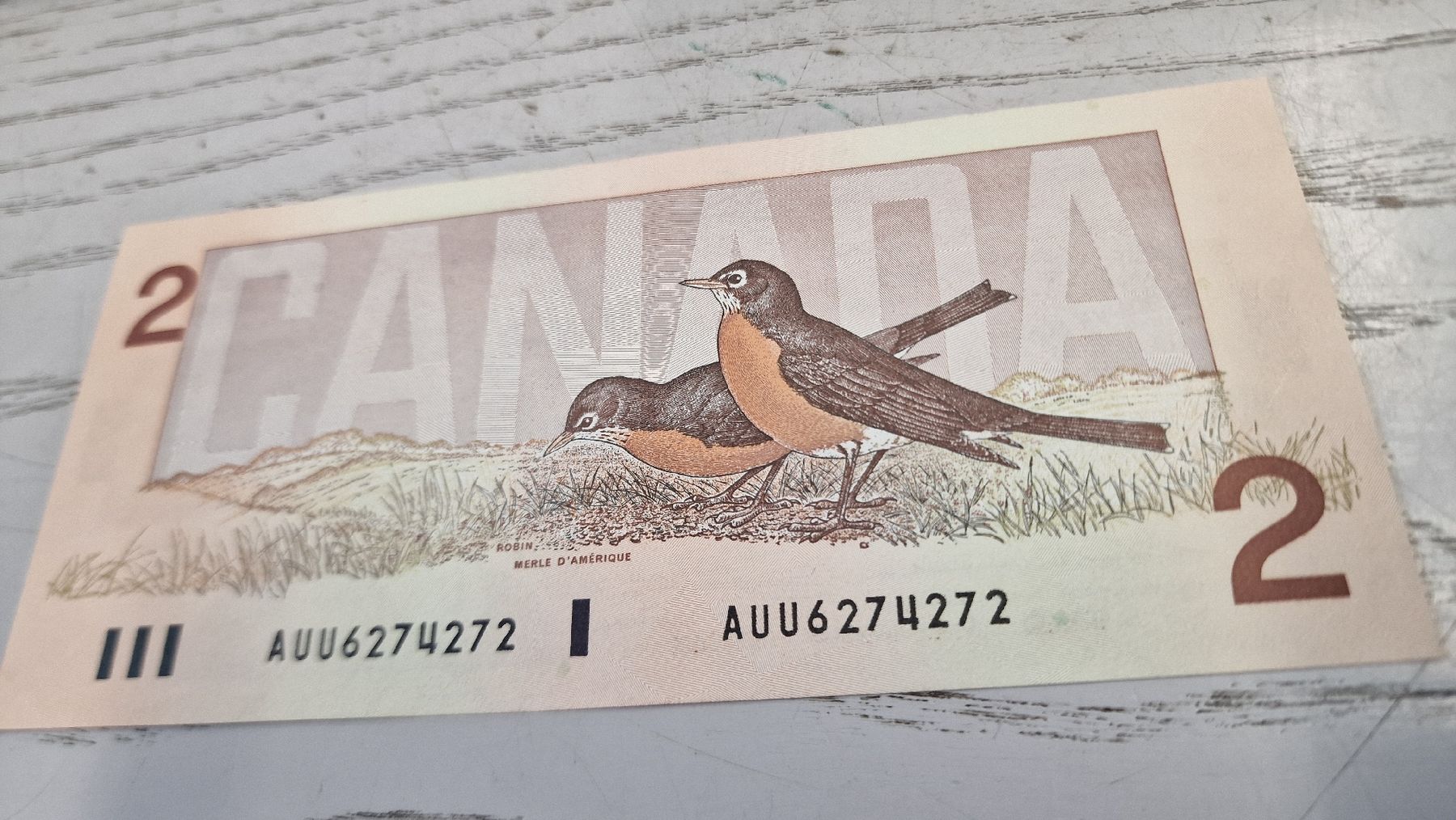 Banconote: Kanada 2 Dollar Banknote 1986 Queen Elizabeth II  – Nuovo e nell'imballaggio originale da Herisau venduto da Antiques.AR 1