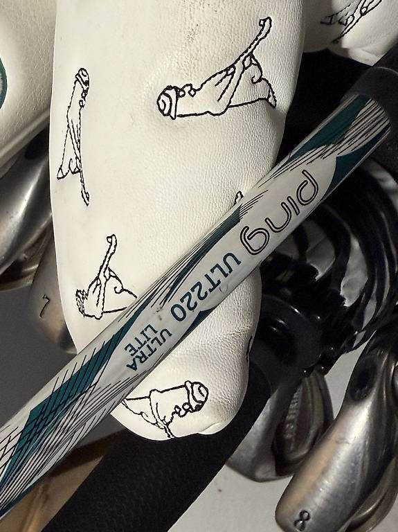 Mazze & Set: Golf Set – Usato da Seedorf UR venduto da Lia_mia 3