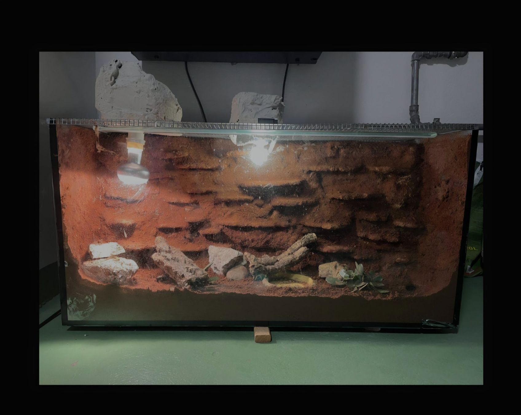 Terrariums: Terrarium – D'occasion à Bern par Babs800