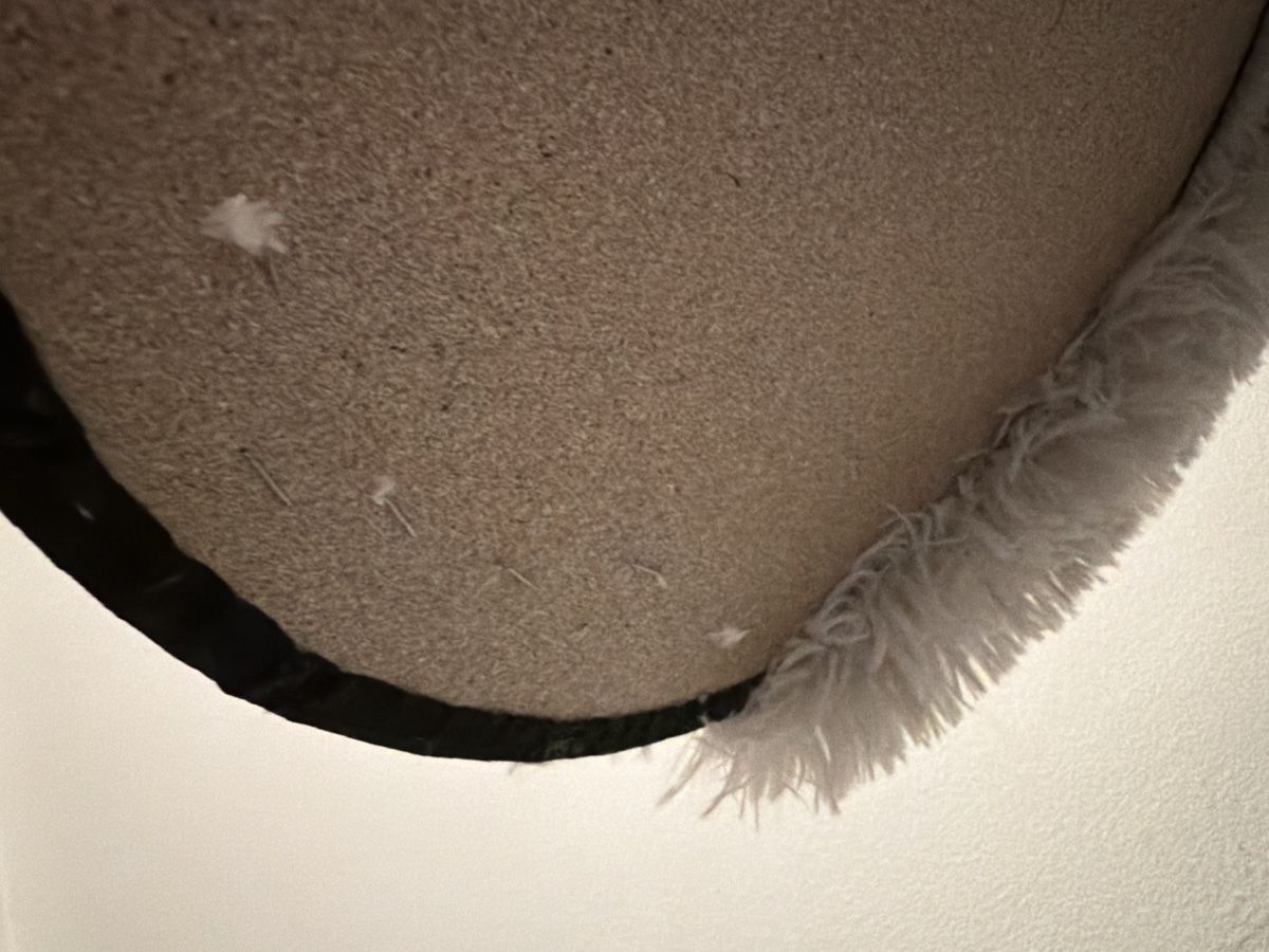 Tiragraffi: Katzenbaum Holz, Grau – Usato da Thun venduto da frieddi1 3