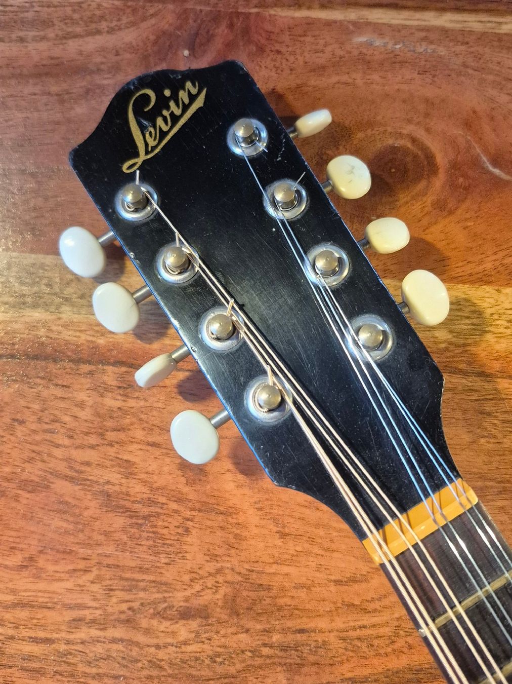 Strumenti musicali: Mandoline Levin 54 Taranto 1963 – Usato da Winterthur venduto da NorrSydGuitars 1
