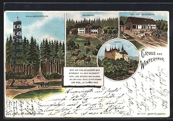 Cartoline postali: Litho Winterthur, Wald am Aussichtsturm, – Usato da Berlin venduto da bartko-reher