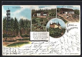 Litho Winterthur, Wald am Aussichtsturm,