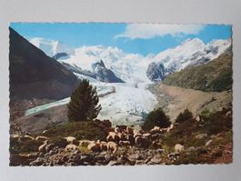 alte Postkarte vom Morteratschgletscher (554)