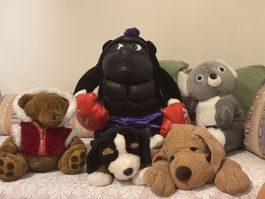Plüschtiere Teddy Gorilla Koala Hunde guter Zustand