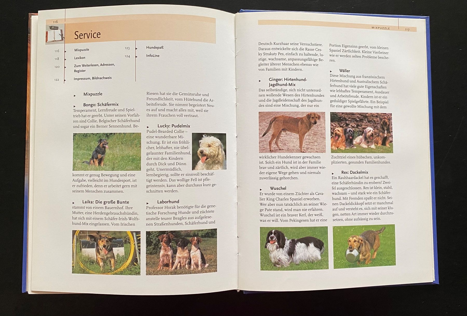 Libri: Mischlinge / PraxisWissen Hund – Usato da Nussbaumen AG venduto da schuba2000 6