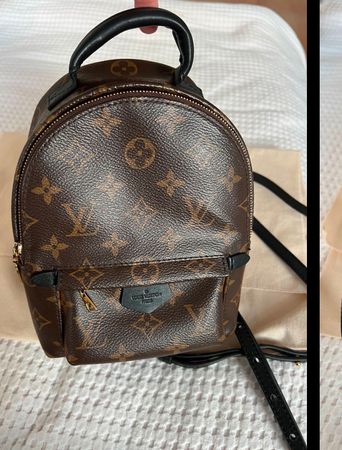 Louis Vuitton Palm Springs Mini