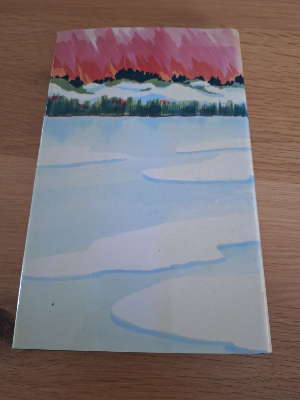 Libri: Roman Sandra Paretti Der Winter der ein Sommer war – Usato da Wanzwil venduto da chlinih93 1