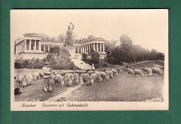 MÜNCHEN - Bavaria mit Ruhmeshalle - Schafherde