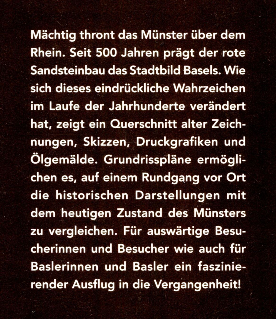 Libri: Basel, Münster – Usato da Aarau venduto da Elmaar41 1