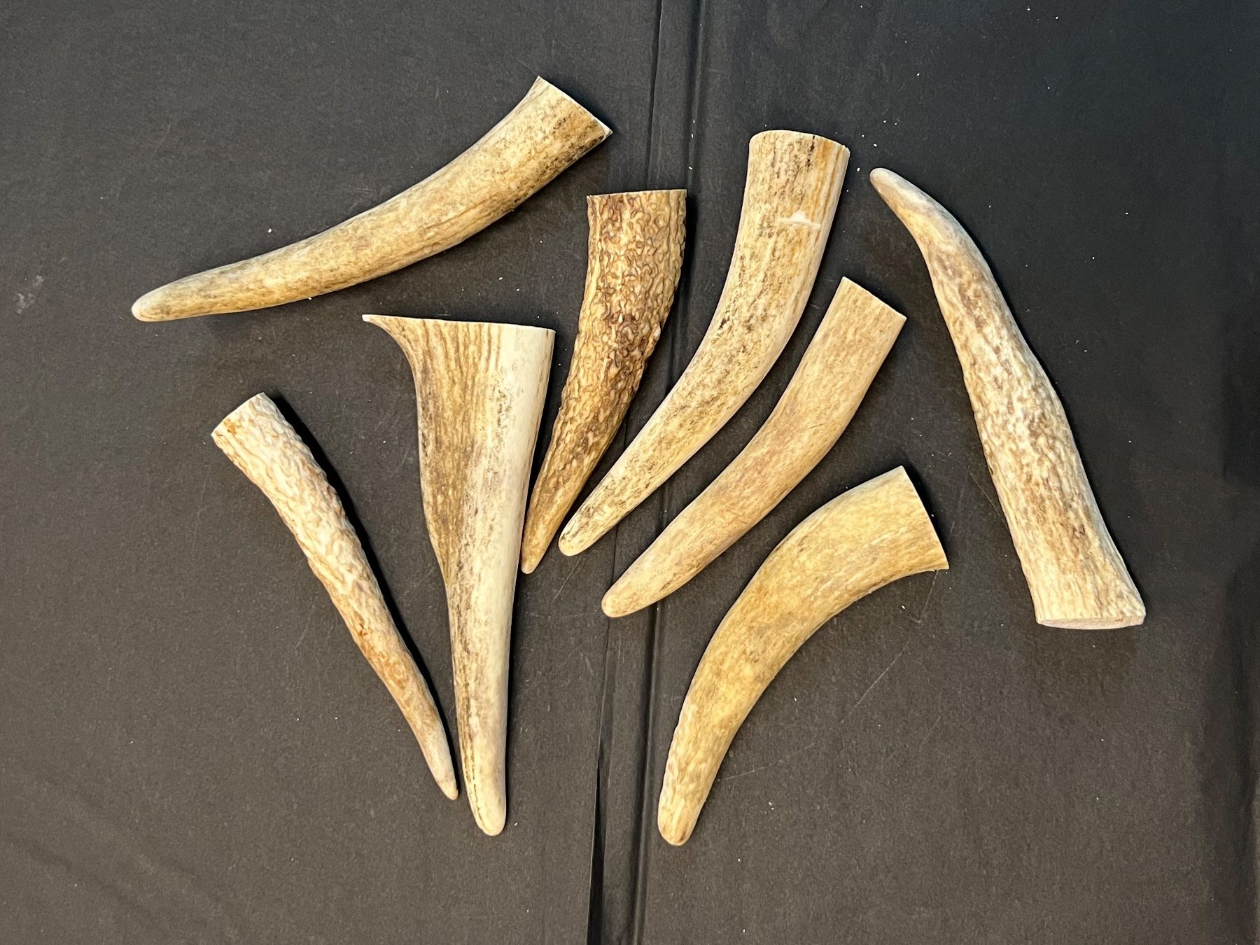 Sonstiges zum Sammeln & Seltenes: Hirsch Geweih Horn Hirschgeweih Spitzen 12-16cm – Gebraucht aus Vaduz von hirschjager 1
