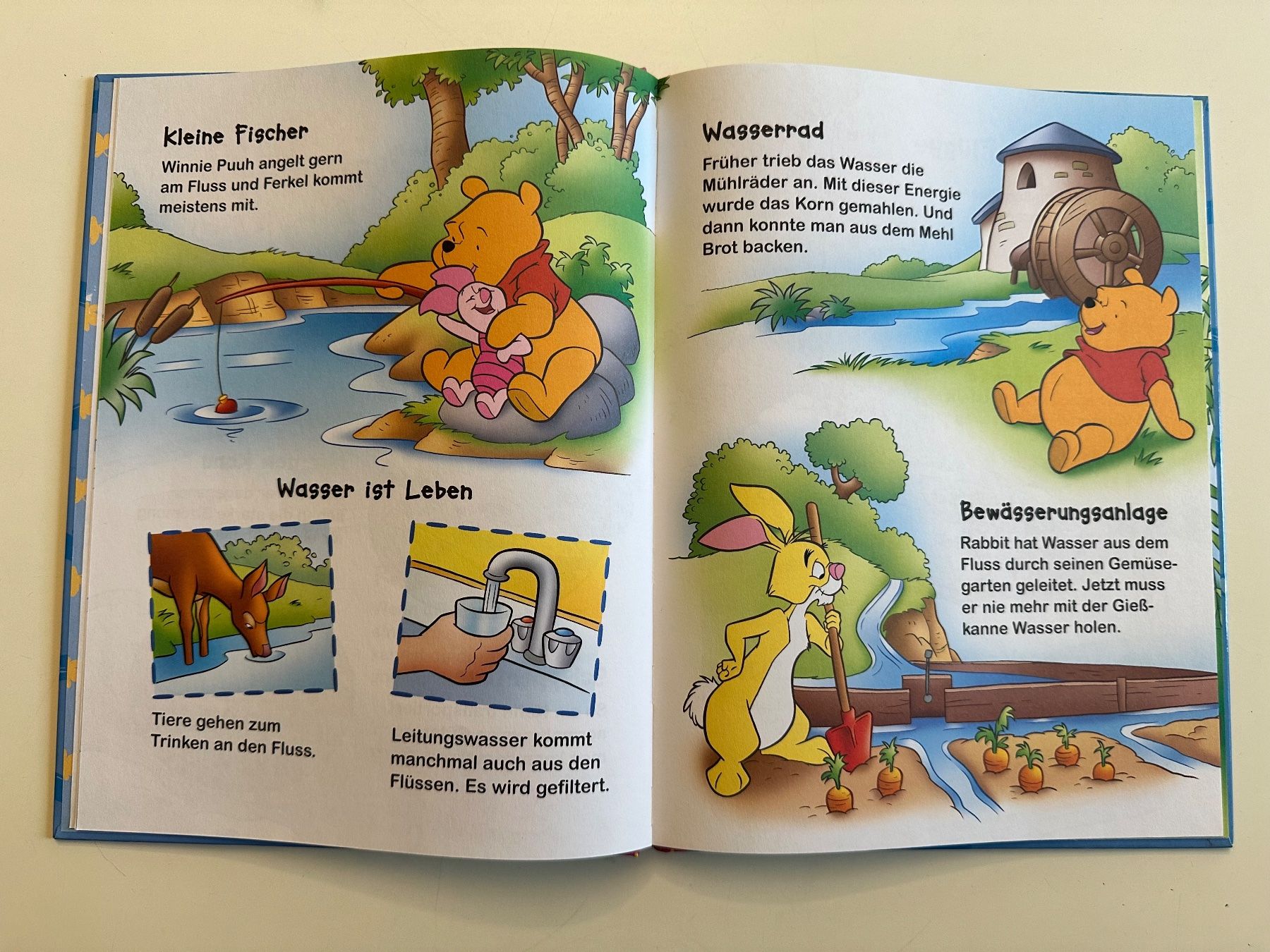 Libri: Winnie Puuh - Entdecke den Fluss – Usato da Münsingen venduto da Ganjam 4