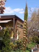 Juteband rot und orange, Garten Deko Herbst