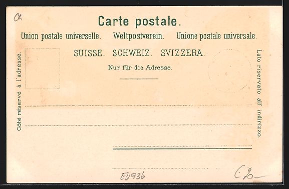 Cartes postales: Litho Interlaken, Panorama mit Hotel – D'occasion à Berlin par bartko-reher 1