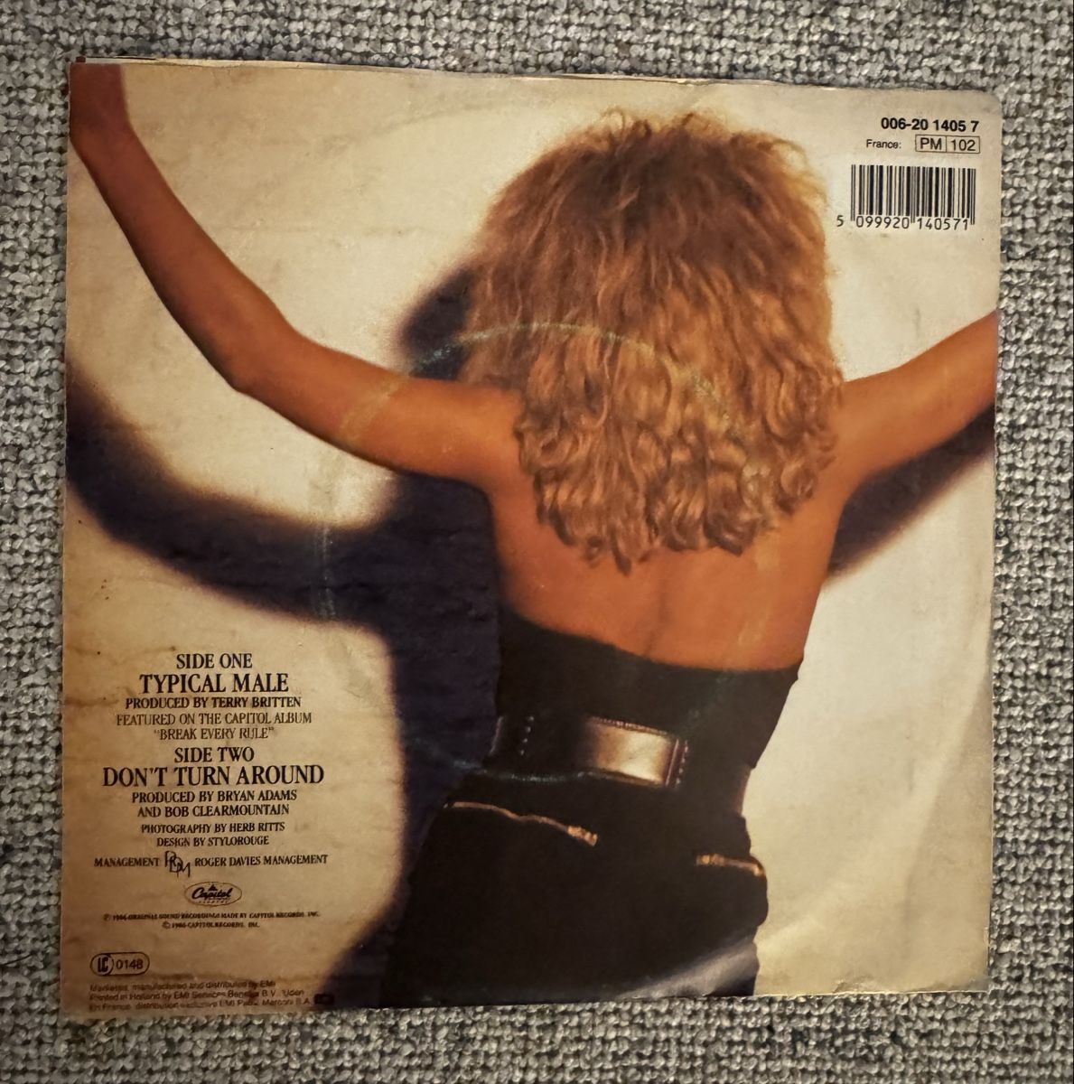 Dischi in vinile: Tina Turner -  Typical Male - 7" Single - 80s – Usato da Rorbas venduto da BlackstarRecords 1