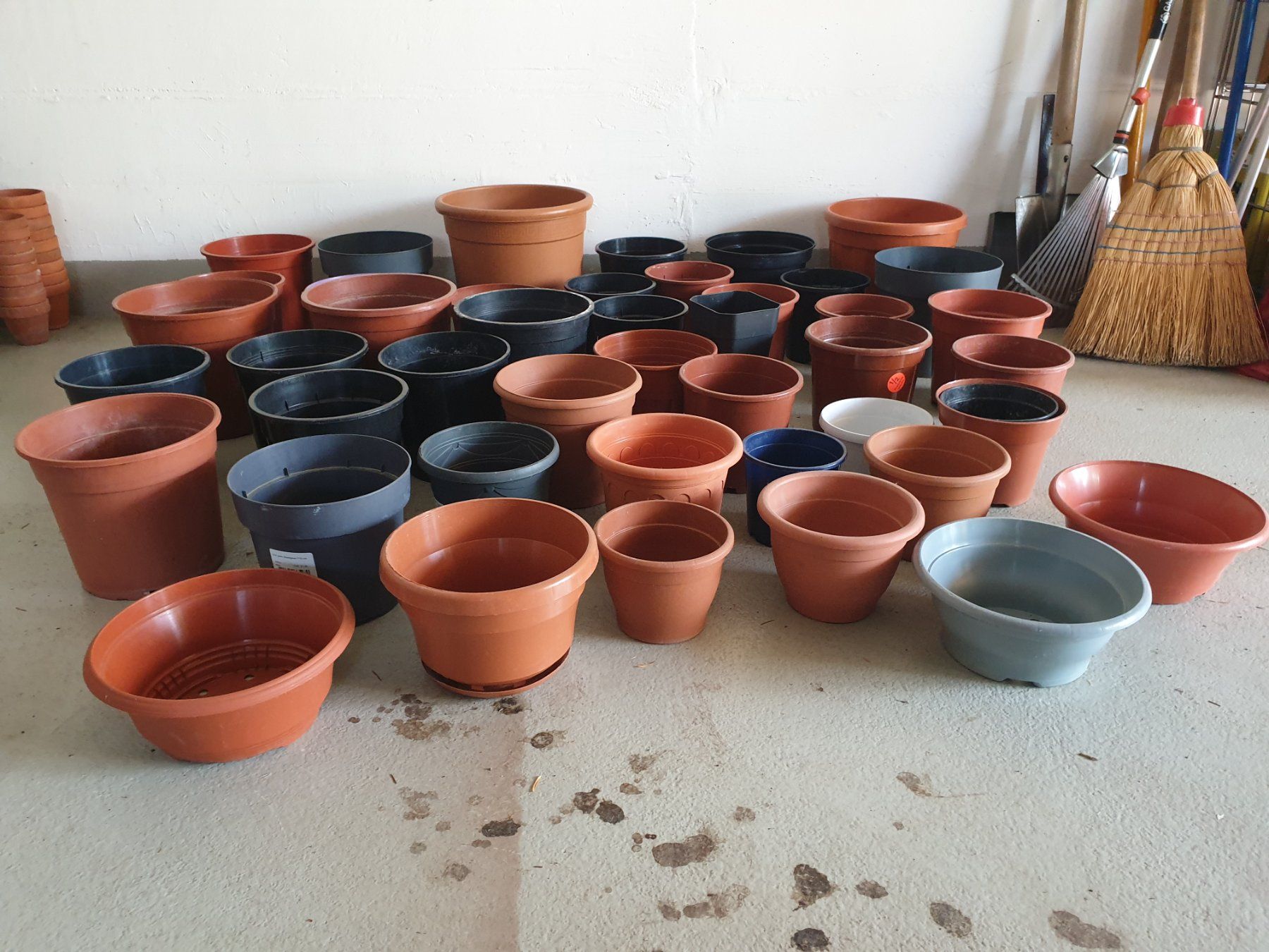 Blumentöpfe: Lot Plastiktöpfe – Gebraucht aus Tuggen von Mviola2 3