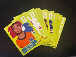 35 Panini KEINE DOPPELTEN - Panini WM 2026