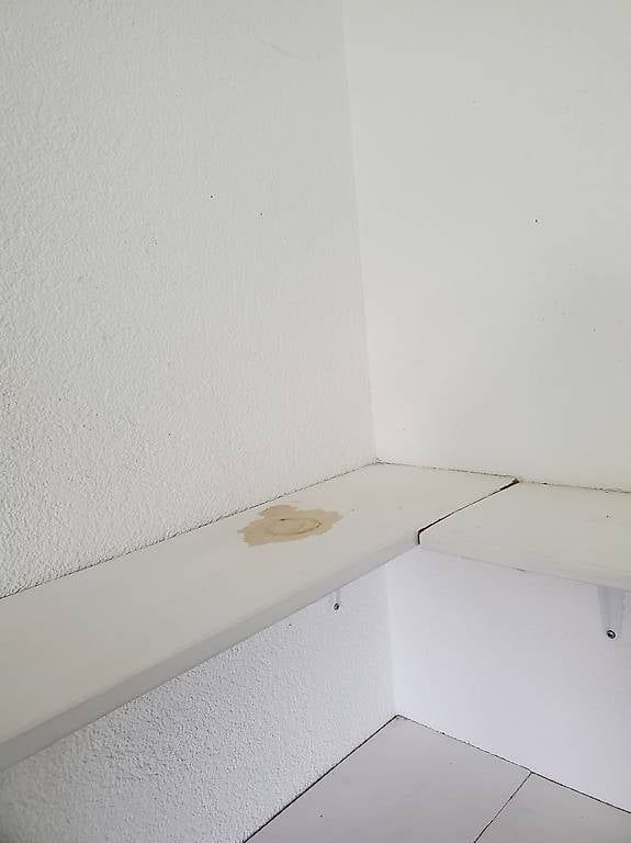 Scaffali: Wandregal – Usato da Erlinsbach SO venduto da roman728