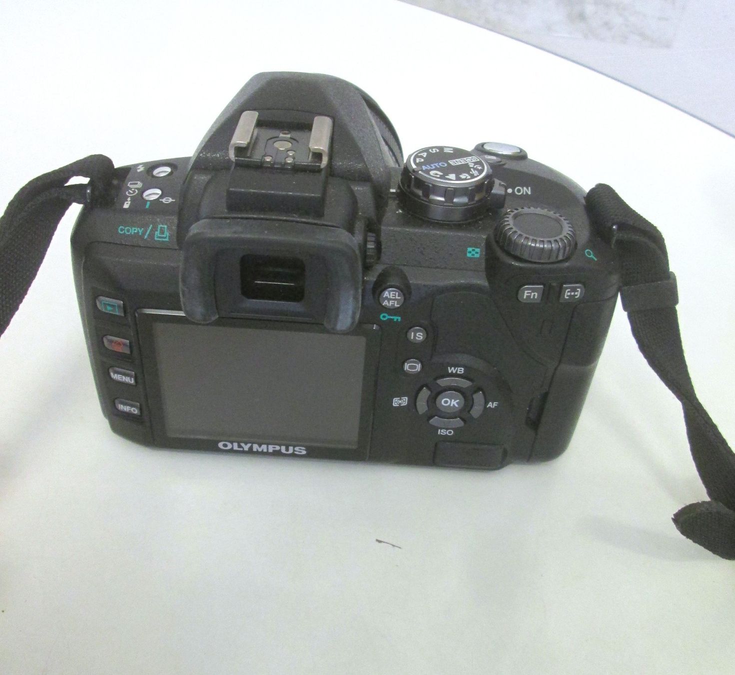 Olympus Kamera: Olympus E 510 Kamera – Gebraucht aus Sementina von babucia 1
