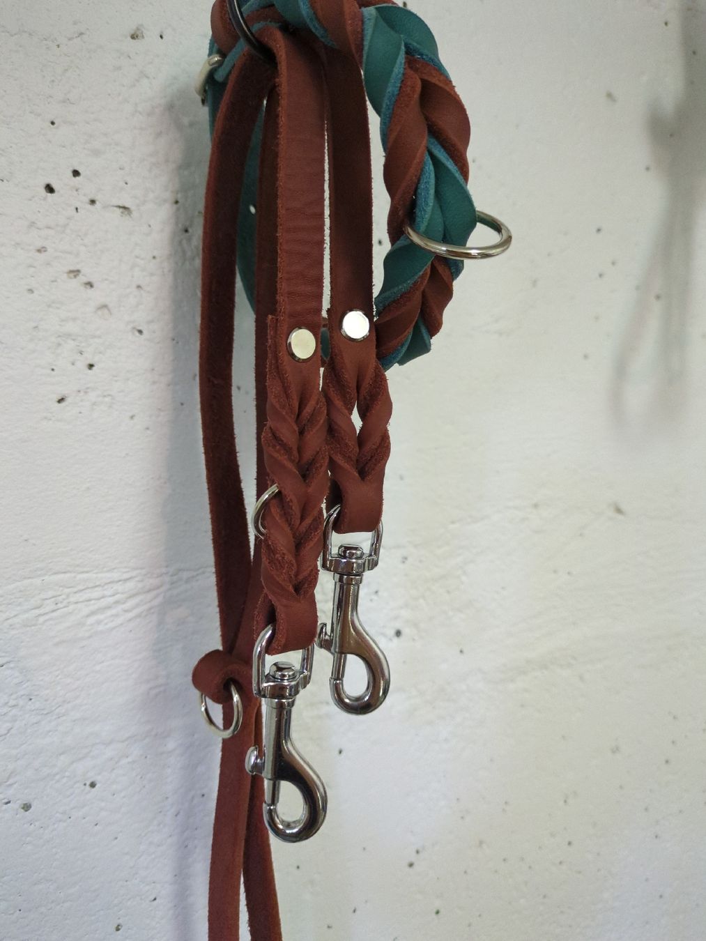 Guinzagli & Collari: Hundeleine mit Halsband  – Nuovo (secondo la descrizione) da Allschwil venduto da bessi01 1