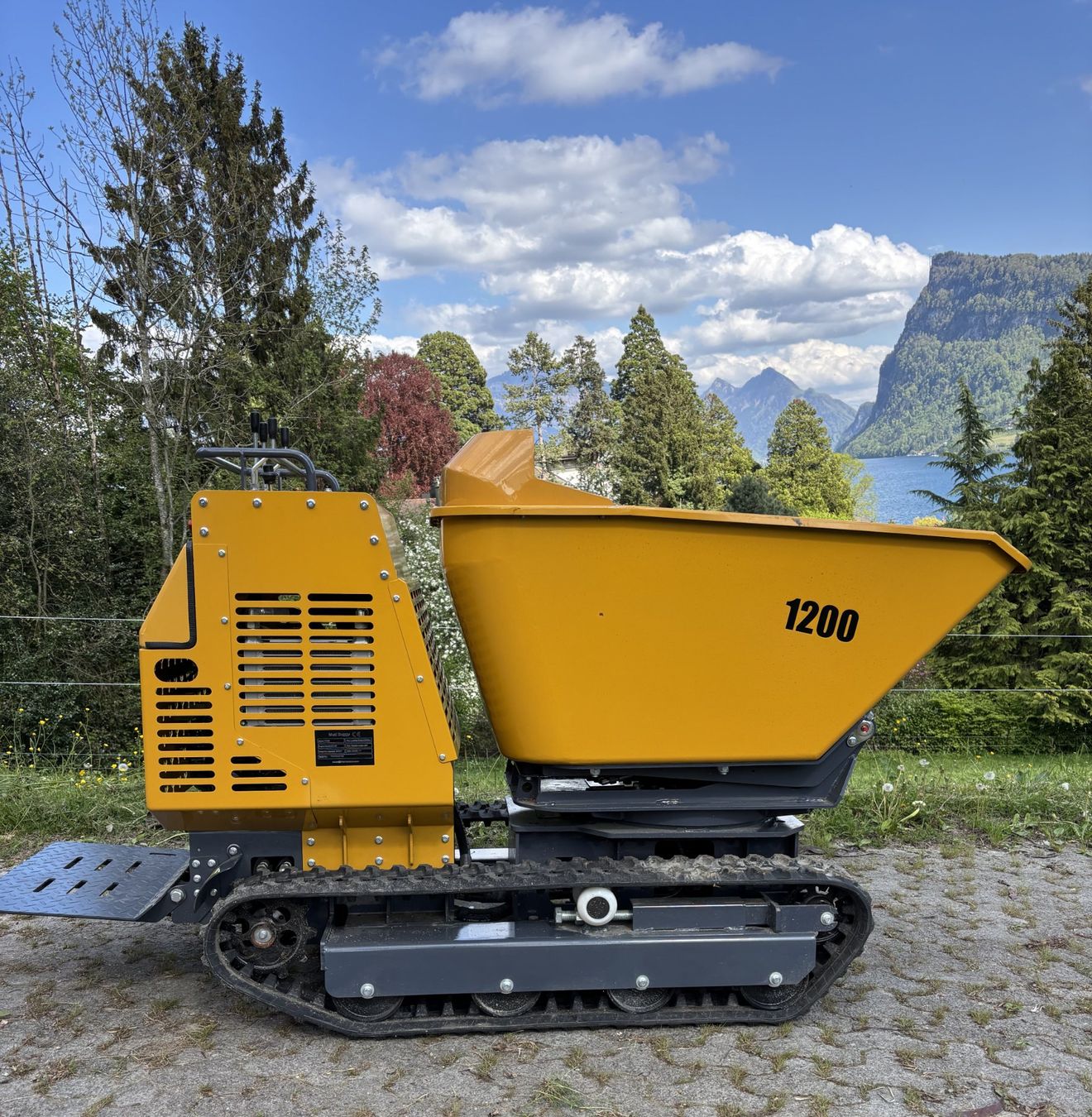 Alle Maschinen: Raupendumper hydrostatisch Nutzlast 1000 kg – Neu (gemäss Beschreibung) aus Kastanienbaum von acapulco