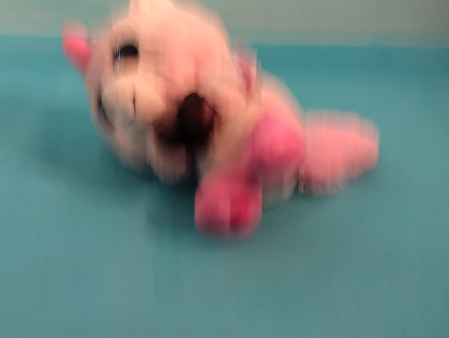 Nici Spielzeuge: NICI Einhorn mit Herz, L:18cm – Neu (gemäss Beschreibung) aus Bellach von JingleCherry 4