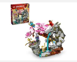 LEGO® Ninjago 71819 Drachenstein-Tempel, Neu & OVP