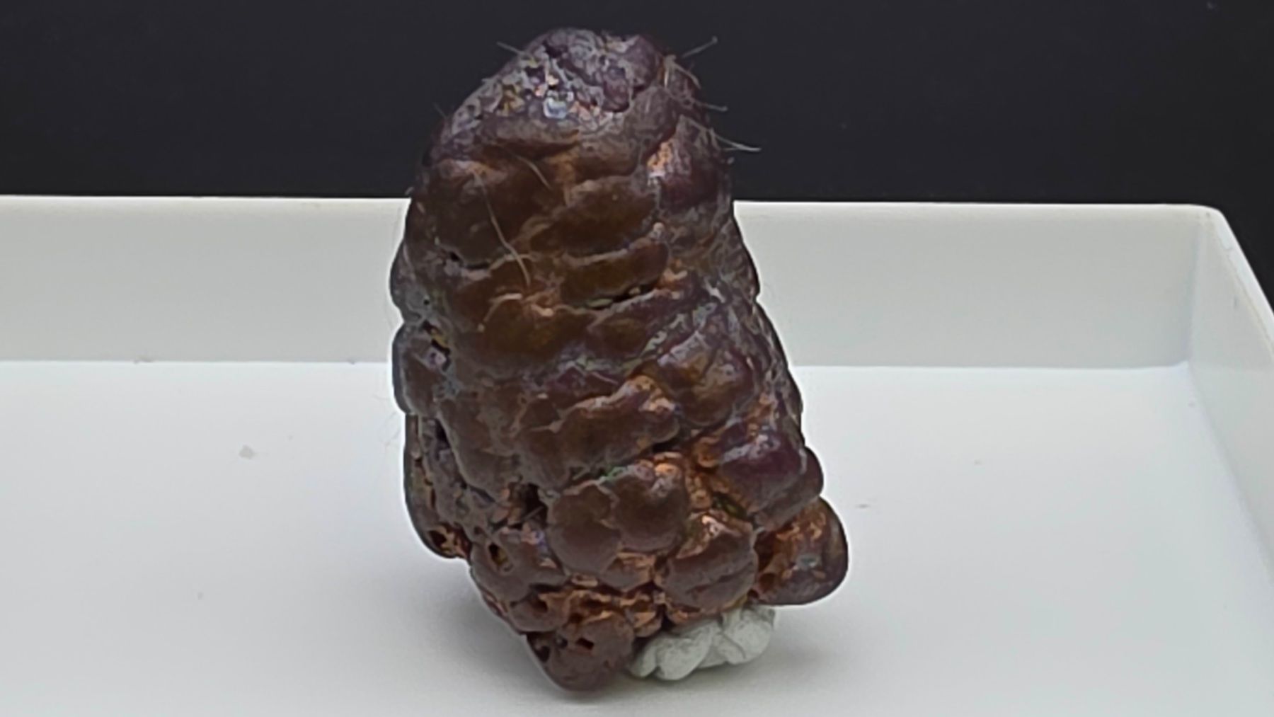 Mineralien & Heilsteine: Copper Botryoidal Formations - Arizona copper mine – Gebraucht aus Figino von panshop 3