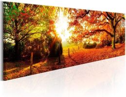 NEU🔝 SUPER PREIS 💲 Wandbild 120x40/ Natur Wald