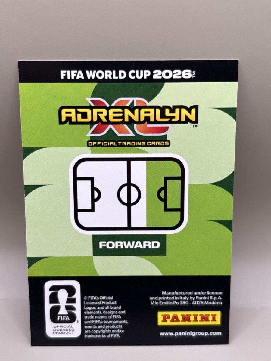 Panini Carte collezionabili: Panini Adrenalyn XL - 211 -  – Nuovo (secondo la descrizione) da Oberbuchsiten venduto da Bananefrappe93 1