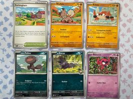 Diverse Pokemon Karten - Reisegefährten